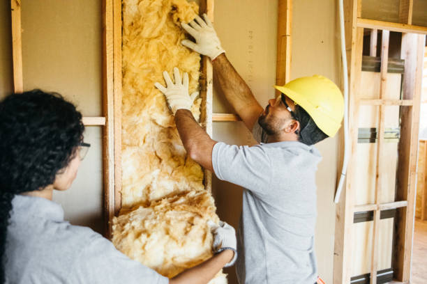 Best Insulation for New Construction  in Orofino, ID